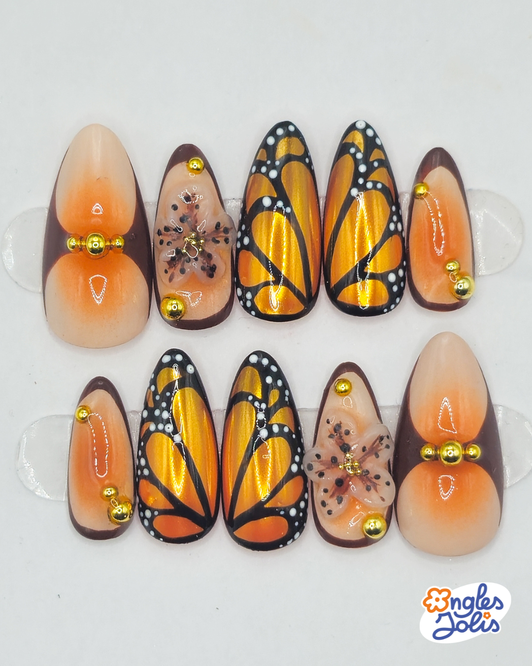 Danaus plexippus