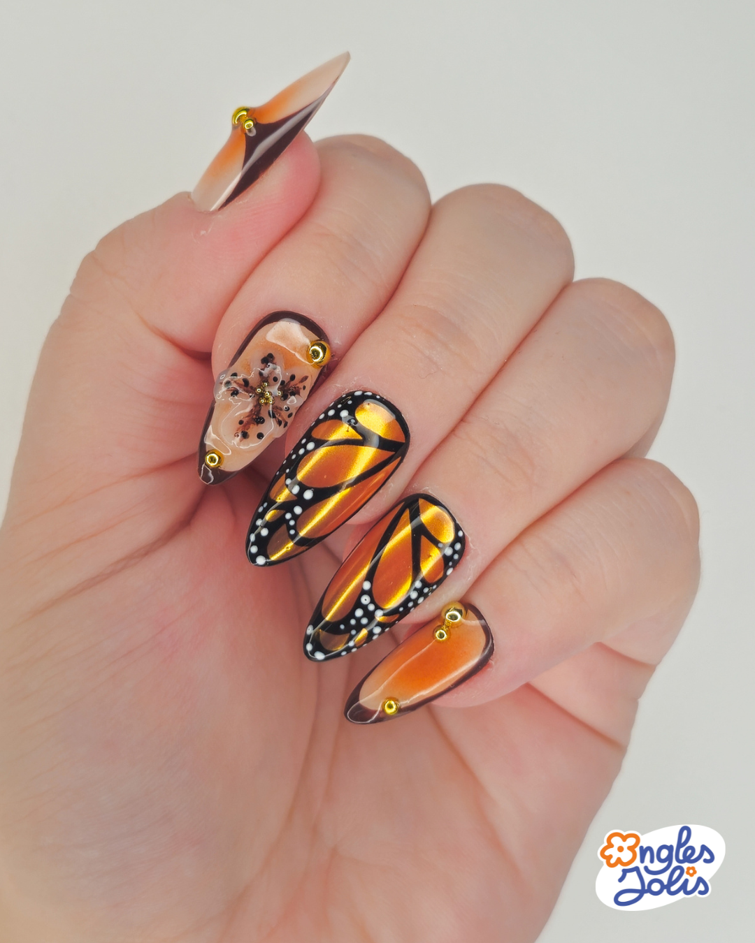 Danaus plexippus