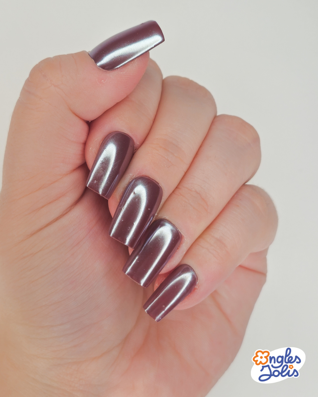 Chestnut Shine
